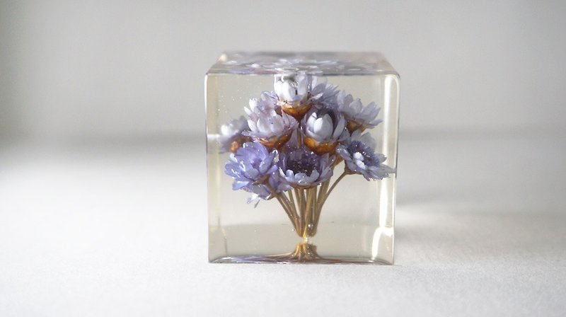 Blue flowers - dried flowers decoration three-dimensional square - Plants & Floral Arrangement - Plants & Flowers Blue