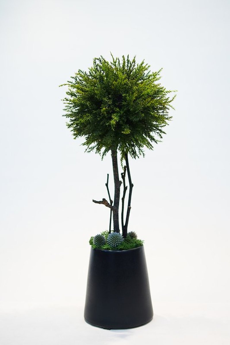 【人造花藝】可愛迷你版松樹 - ตกแต่งต้นไม้ - วัสดุอื่นๆ สีเขียว