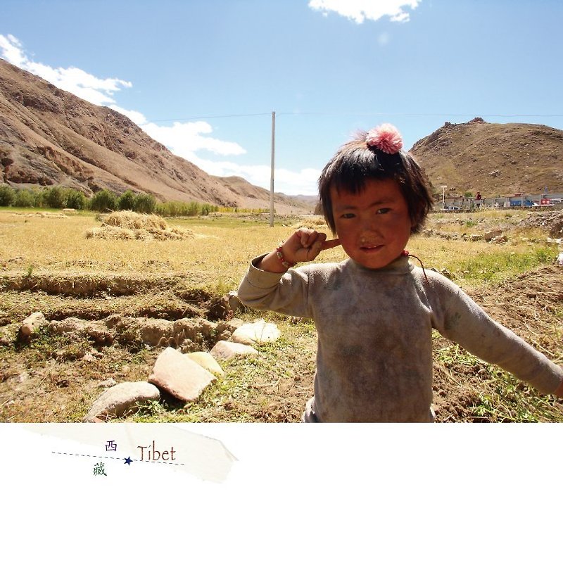 チベット旅行写真ポストカード - カード・はがき - 紙 