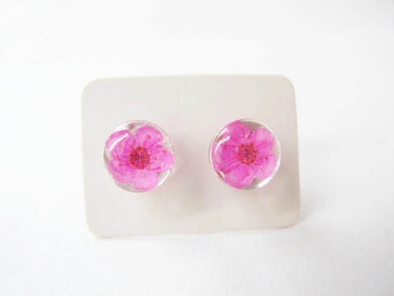 * Rosy Garden * Dried flowers pink earrings small plum - Earrings & Clip-ons - Other Materials Pink