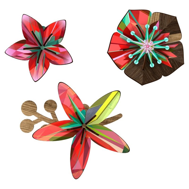 SUSS- MIHO imported Italian design flowers ornate wooden wall hangings (Flower - Tropical Breeze) (a group of three in) - suitable new home / renovation / gifts. Spot free transport - Wall Décor - Wood Red