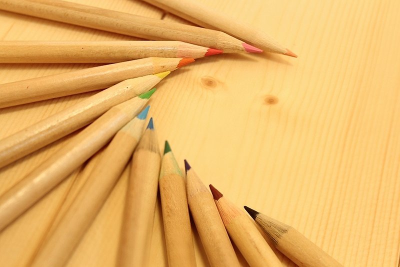 バスウッドの森の果実の色の鉛筆鉛筆セット - その他 - 木製 