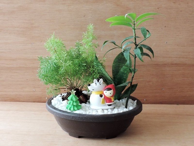 Xmas ‧ 雪中的樂趣《聖誕限定款》 - 植物/盆栽/盆景 - 植物．花 