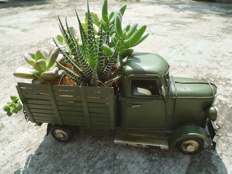 Travel _ antique style small cargo Card (green) _ cactus x Succulents - Plants - Plants & Flowers Red
