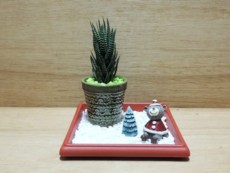 Xmas ‧ Happy Christmas feast "Christmas Limited" - Plants - Plants & Flowers 