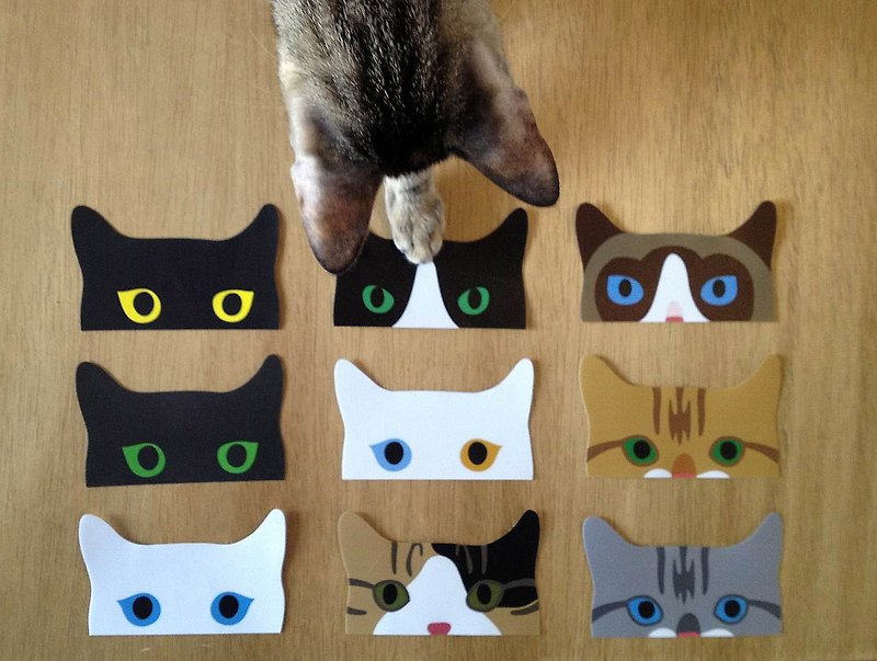 วัสดุกันนำ้ สติกเกอร์ หลากหลายสี - Peeping Cat Sticker Set (includes 9pcs)