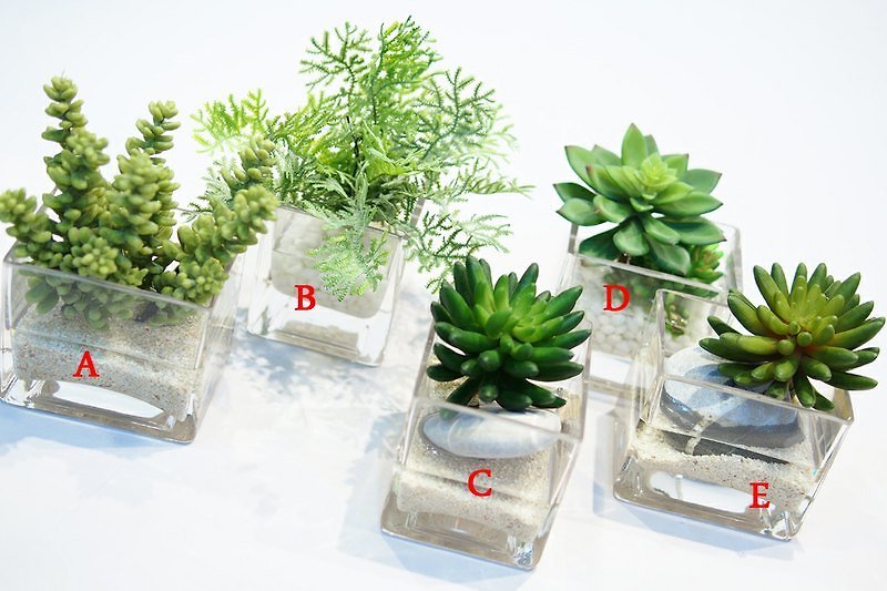【假水人造花藝】石蓮方玻璃系列 - 観葉植物 - その他の素材 グリーン