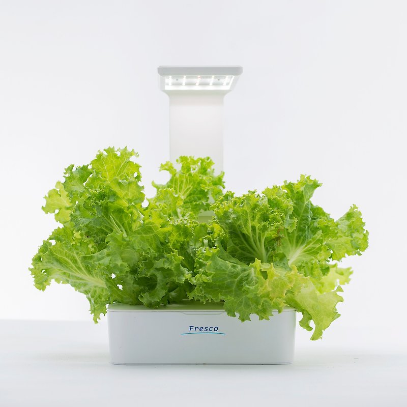 Green Box Dual- Purpose LED Plant Growth Box - Lighting - Plastic White