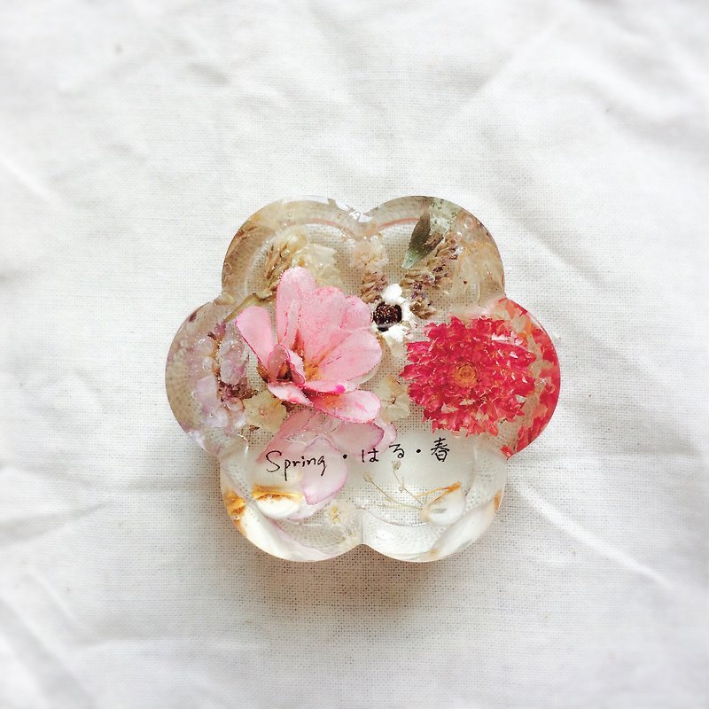 Dried flowers Decoration / Paper weight / design of Spring - Items for Display - Other Materials 