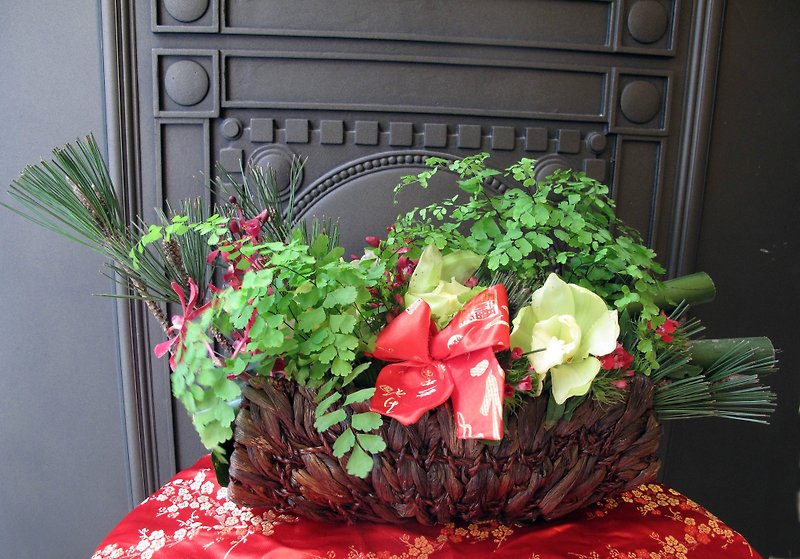 Lan Ying New Year - Plants - Plants & Flowers Green