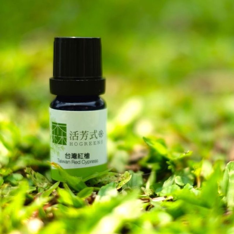 Taiwan red cypress essential oil - น้ำหอม - พืช/ดอกไม้ 