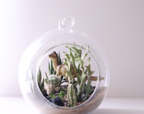 Dinosaurs and Desert Succulent Dragon Jurassic Glass Microscape Ecological Bottle Cactus Zodiac Dragon