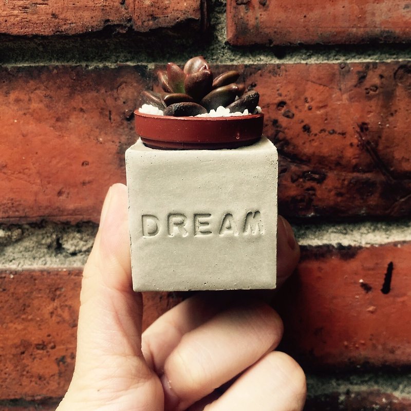 Dream~!! (Dream) Succulent Magnet Potted Plant - Plants - Cement Gray