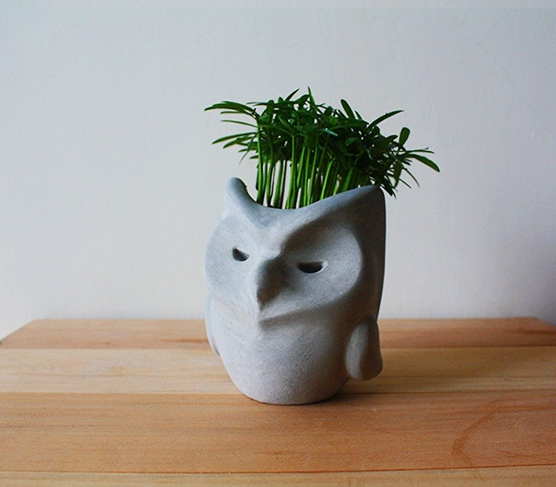 Courage Owl Pots - Plants - Cement Gray