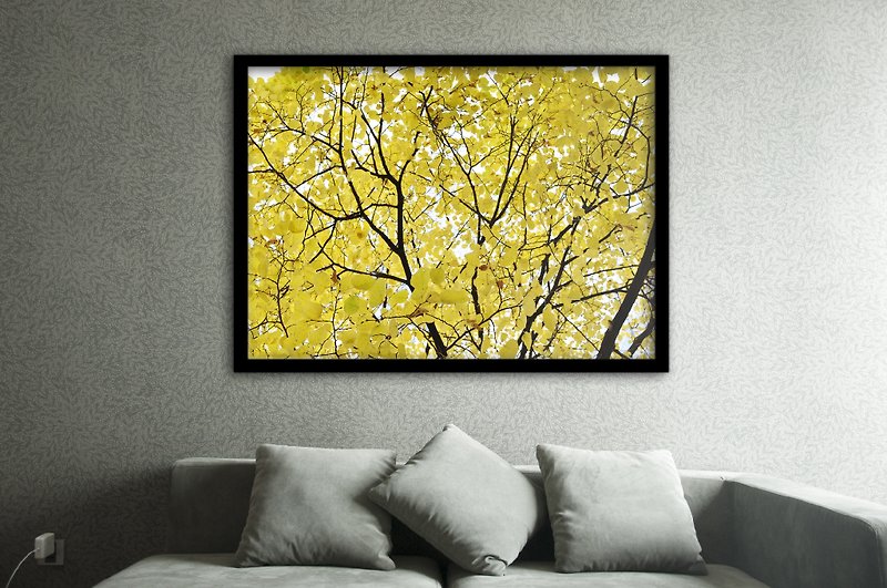 「攝影」金黃滿天的秋 - 攝影集 - 紙 黃色