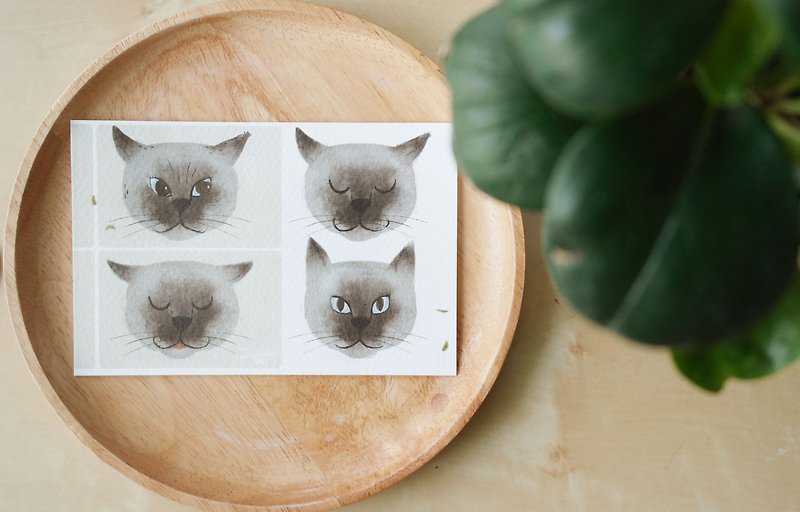 為暹羅貓拍個照 Take a photo Siam Cat action illustration postcard 4"x6" - 卡片/明信片 - 紙 灰色