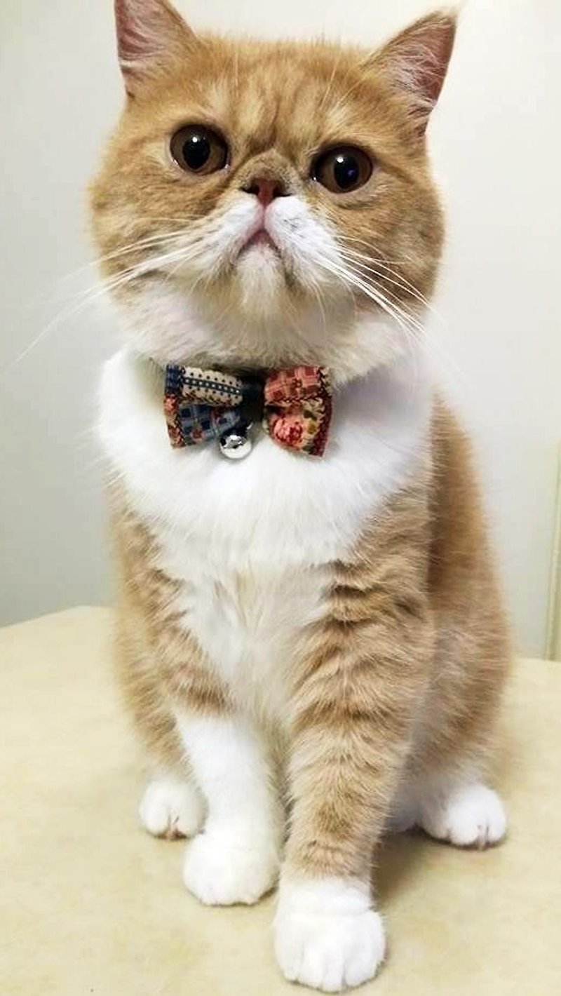 Color floral bow pet collar dog cat S size - ปลอกคอ - วัสดุอื่นๆ หลากหลายสี