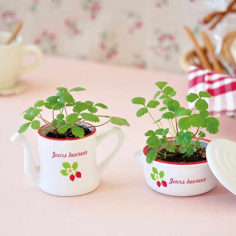 [Welfare products cleared] PETIT COCO- berries vintage ceramic cultivation pots / small strawberries - ตกแต่งต้นไม้ - ดินเผา สีแดง