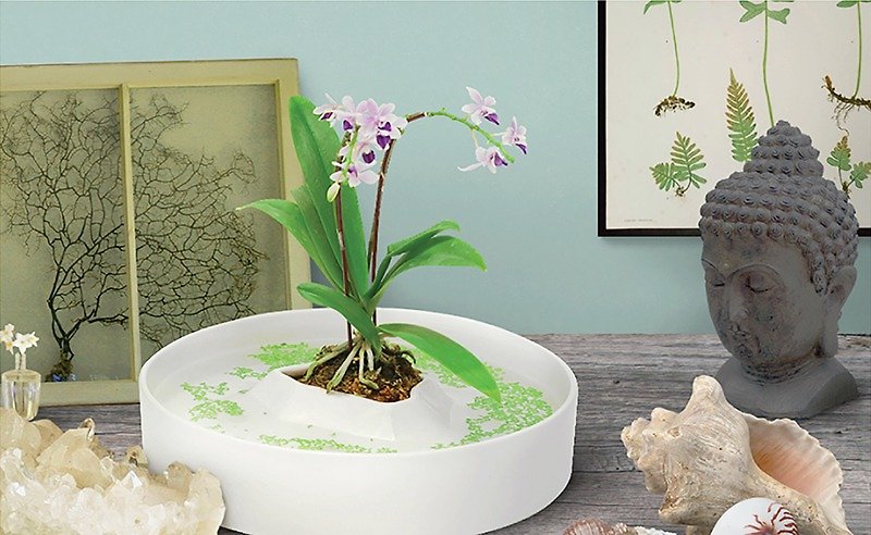 ロハチャラ フラワーコンテナ - 花瓶・植木鉢 - 磁器 ホワイト