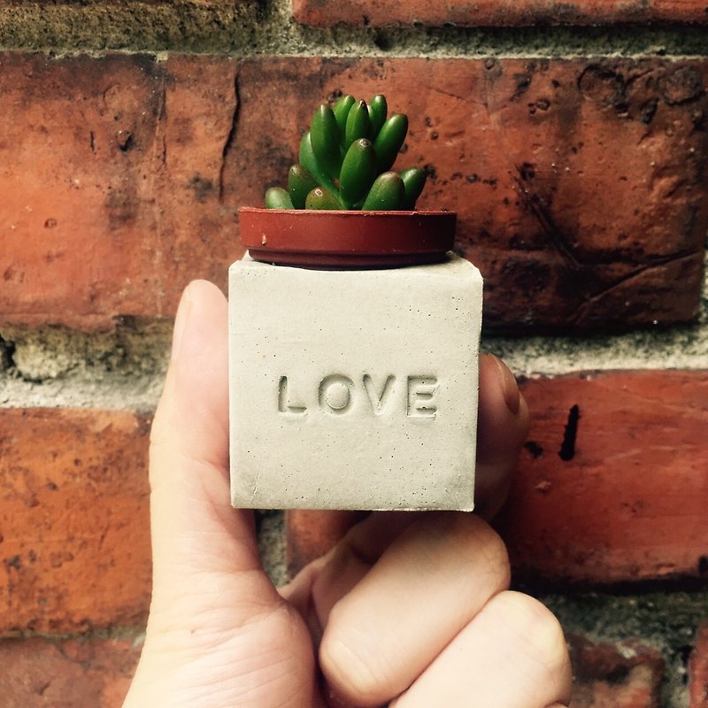 LOVE!! Magnet Potted Plant - Plants - Cement Gray