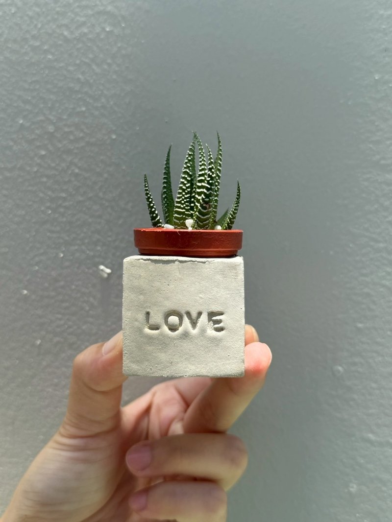 LOVE!!傳情達意磁鐵盆栽 - 盆栽/植栽 - 水泥 灰色