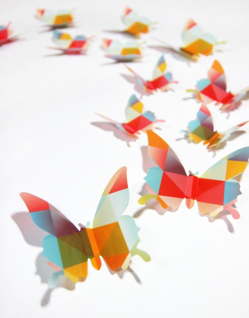 iINDOORS 3D Contemporary Art Butterfly