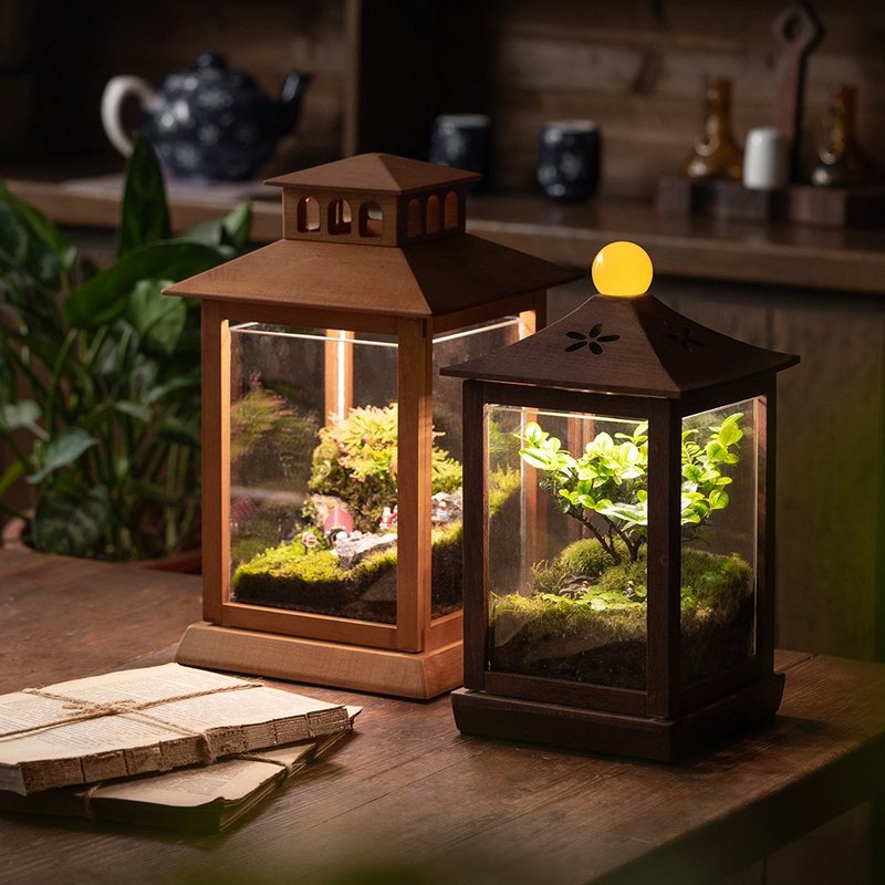 Smart Calotte Grow Light - Plants - Wood 