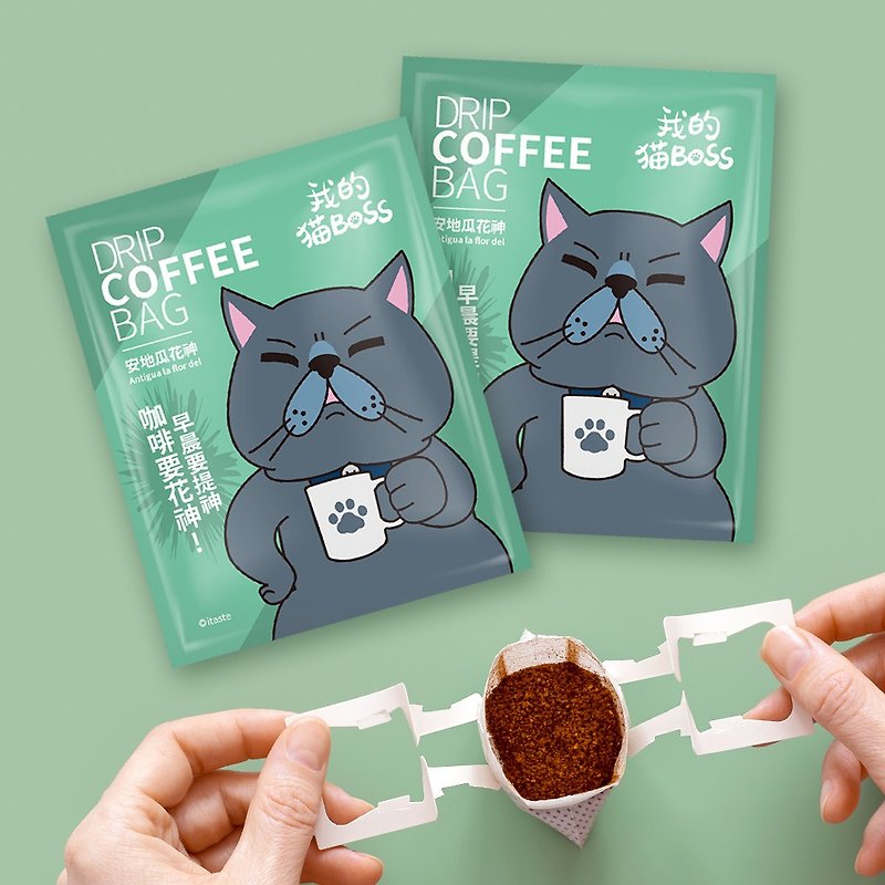 CoFeel My Cat BOSS│Guatemala Flora│Single Origin Filter Coffee│10g - Coffee - Other Materials Green