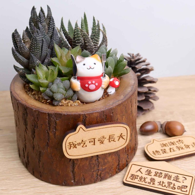 Foodie Cat Succulent Plant Potted Lettering Customization | Plant Birthday Gift Opening Christmas Exchange - ตกแต่งต้นไม้ - ไม้ สีนำ้ตาล