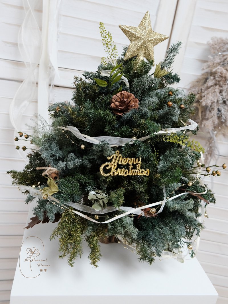 2024 Christmas Courses Christmas Tree Courses Christmas Wreath Courses - จัดดอกไม้/ต้นไม้ - พืช/ดอกไม้ 