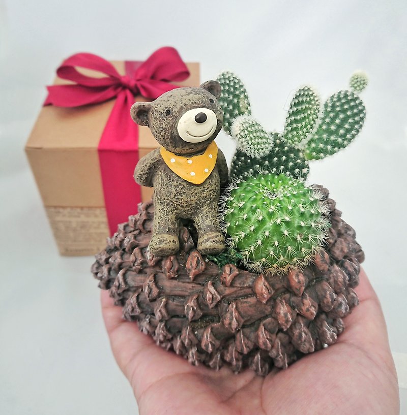 [Emergency order available] Exchangeable for animals/ribbon gift box packaging/succulent or cactus/free card making - Plants - Plants & Flowers Green