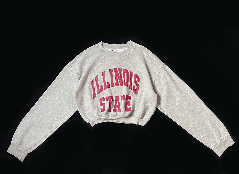 REGETHER Vintage modified short version university T-Illinois State University-11 - Unisex Hoodies & T-Shirts - Cotton & Hemp Gray
