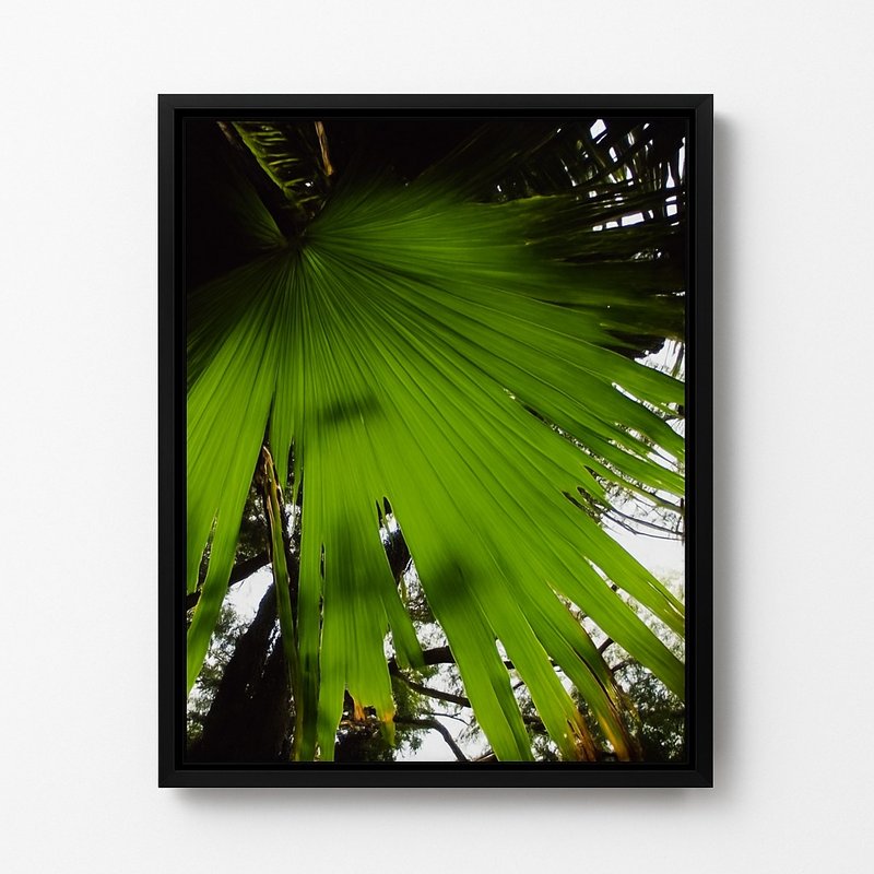 盛夏綠 攝影作品 - 海報/掛畫/掛布 - 壓克力 黑色