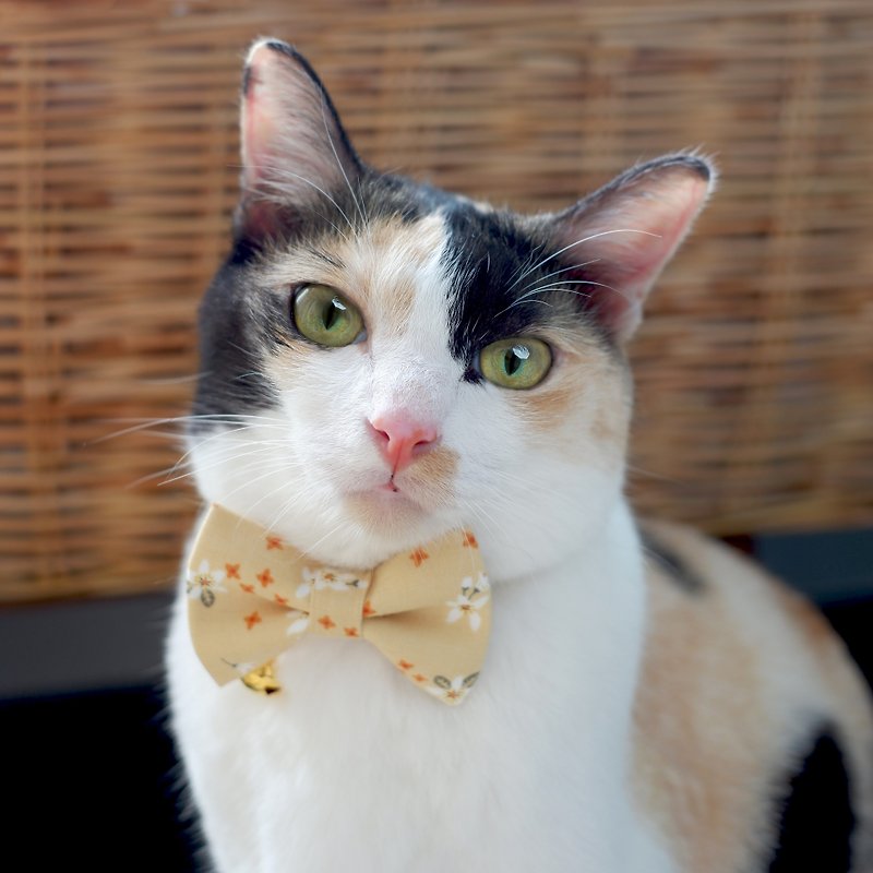 Cat Collar Orange Blossom Set - Collars & Leashes - Cotton & Hemp Orange
