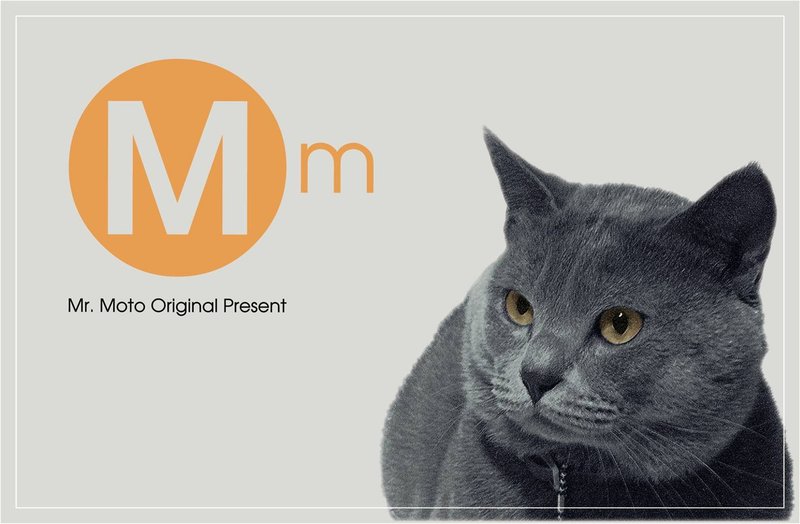 Mr. Moto 1+1子母環保袋【扩容款】 - 側背包/斜背包 - 棉．麻 