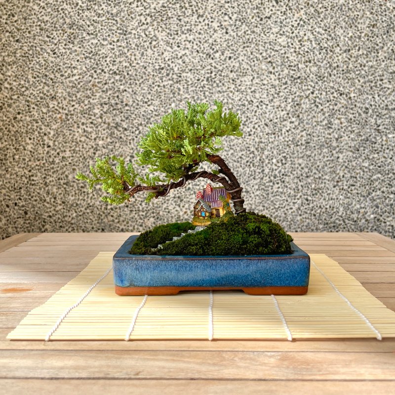 Small bonsai-combination pearl cypress bonsai for gift giving - ตกแต่งต้นไม้ - พืช/ดอกไม้ 