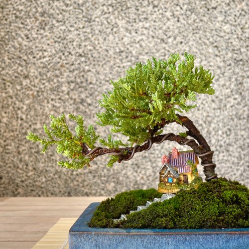【静岡】114M 駿河山正 虎 添配 二点 置物 盆景 2個 空間擺設系魚川真柏精品盆景茶道意境雀樓植栽- Pinkoi 限時優惠活動
