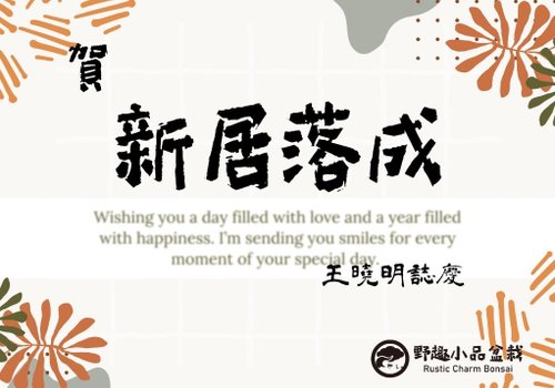 【静岡】114M 駿河山正 虎 添配 二点 置物 盆景 2個 空間擺設系魚川真柏精品盆景茶道意境雀樓植栽- Pinkoi 限時優惠活動