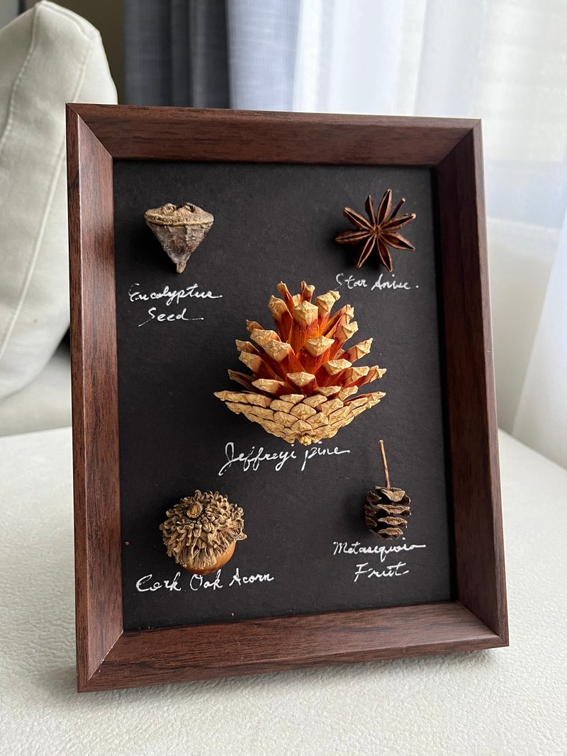 Natural dried flower & plant frame∣Banksia flower - ของวางตกแต่ง - พืช/ดอกไม้ 