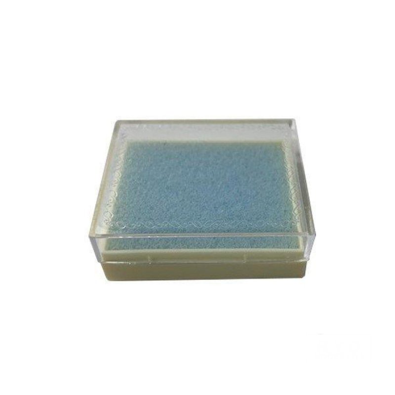 Sponge Case Mini Mini Set of 6 - Storage - Plastic Transparent