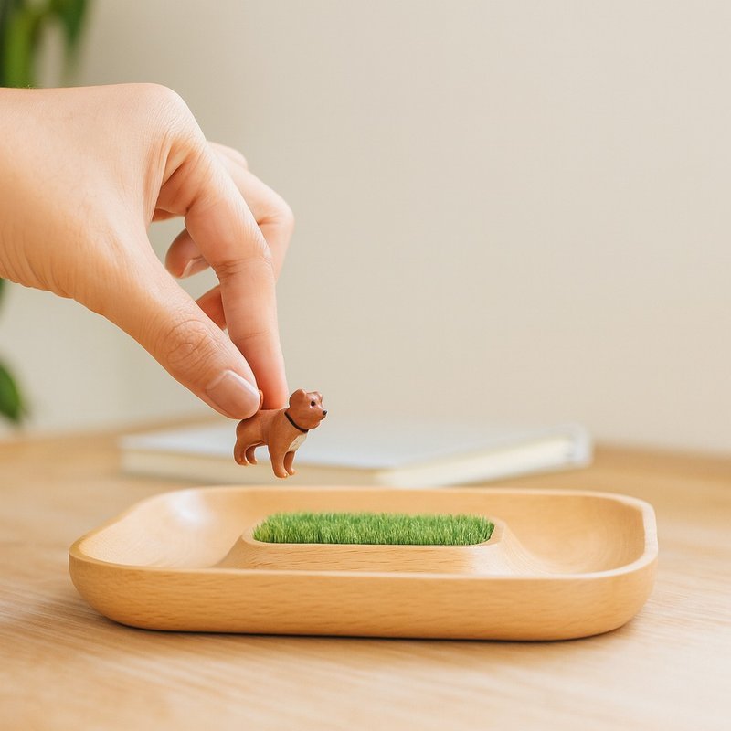 【玄關好物】 實木 沙漠綠洲 首飾 項鍊 收納盤 女友 新居 禮物 - 擺飾/家飾品 - 木頭 咖啡色