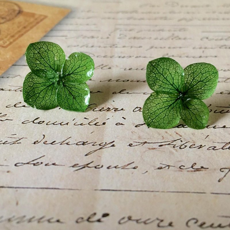 Hydrangea hydrangea / pierced ears - Earrings & Clip-ons - Plants & Flowers Green