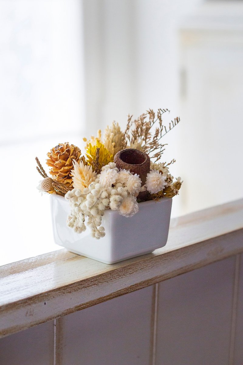 [Autumn] Dry potted plant / earth color / furnishings / graduation gift / Valentine gift / birthday gift - ตกแต่งต้นไม้ - พืช/ดอกไม้ สีทอง