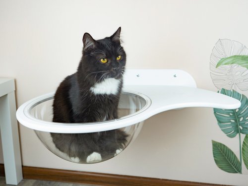 Wall Cat House Furniture Hammock Luxury Petshelperco Scratchers I - Curved Wall Shelf For Cats Wall Cat House Furniture Hammock Luxury Petshelperco Scratchers I - Curved Wall Shelf For Cats