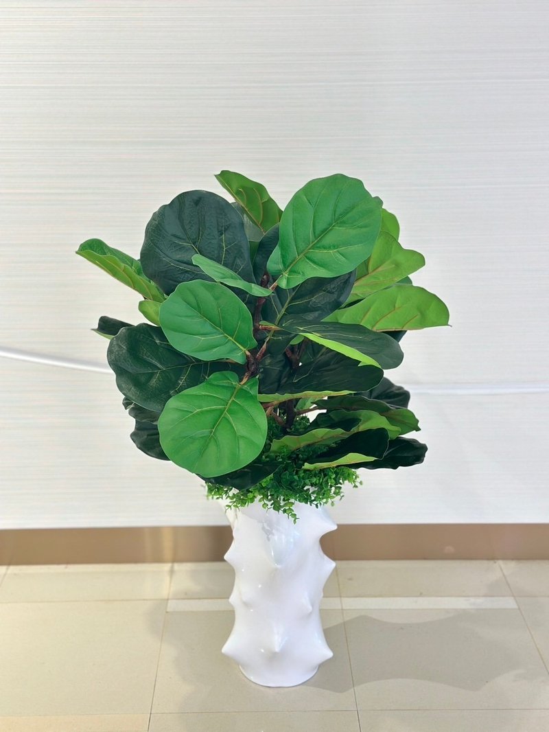 高擬真小琴葉榕植栽 免運專人配送限雙北市 其餘地區需補運費 - 盆栽/植栽 - 其他材質 綠色