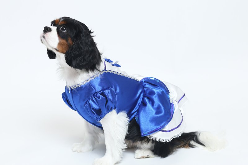 Royal Blue Princess Dress Pet Clothing - ชุดสัตว์เลี้ยง - เส้นใยสังเคราะห์ 