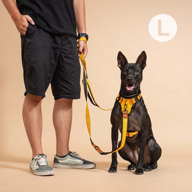 Pawfect-Fit! Pet Leash 機能寵物牽繩(L) - 項圈/牽繩 - 尼龍 