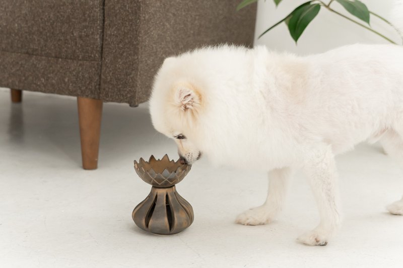 Golden Tulip pet bowl, Cat bowl,Dog bowl,Puppies bowl,Food bowl - ชามอาหารสัตว์ - ดินเผา สีทอง