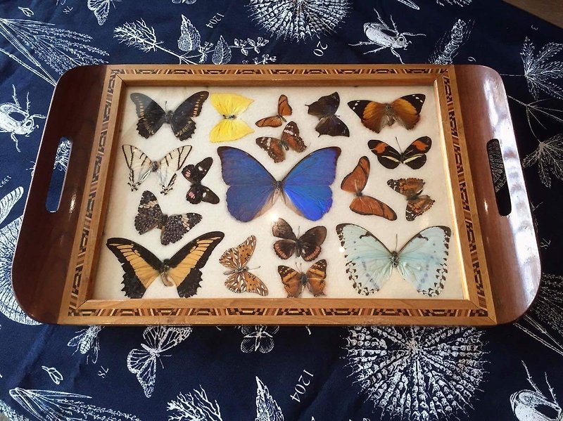 Early handmade mosaic wooden butterfly tray (JS) - ของวางตกแต่ง - ไม้ หลากหลายสี