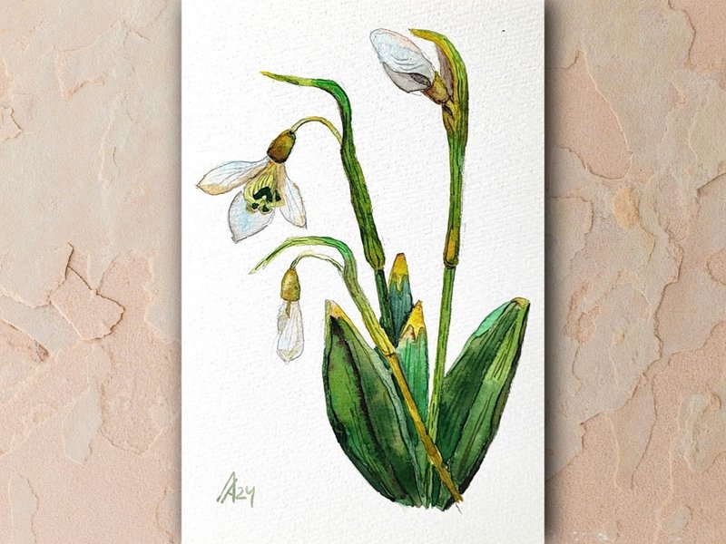 Snowdrop painting original watercolor art plant floral artwork flower - โปสเตอร์ - กระดาษ สีเขียว